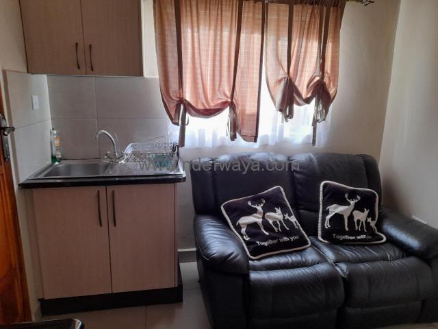 1 Bedroomed Fully Furnished Apartment - K700 Per night - 4