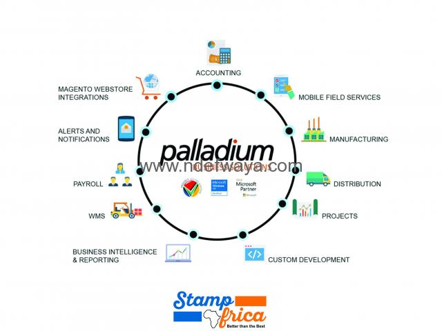 Palladium Premium US$750 Per License Once-Off - 2