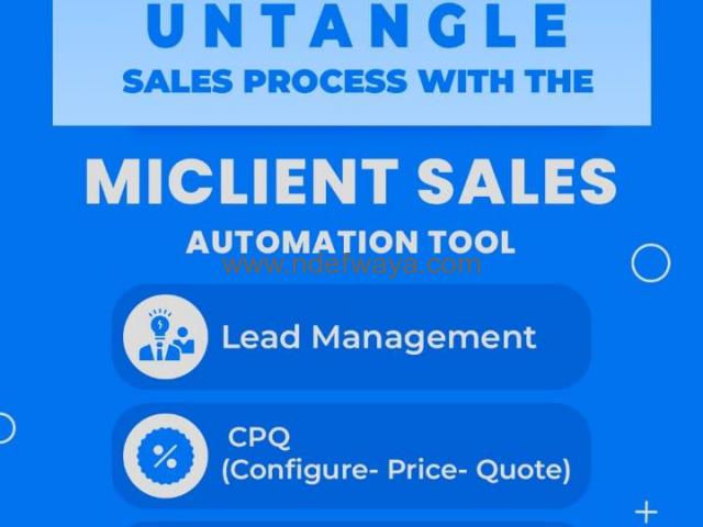 Sales Automation System - 10
