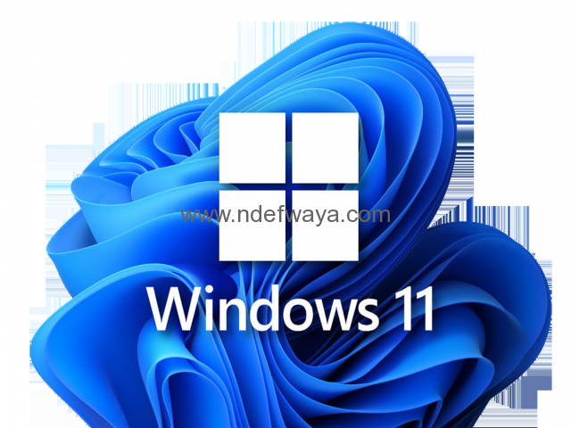 Windows 11 Pro - Genuine Digital License - 1